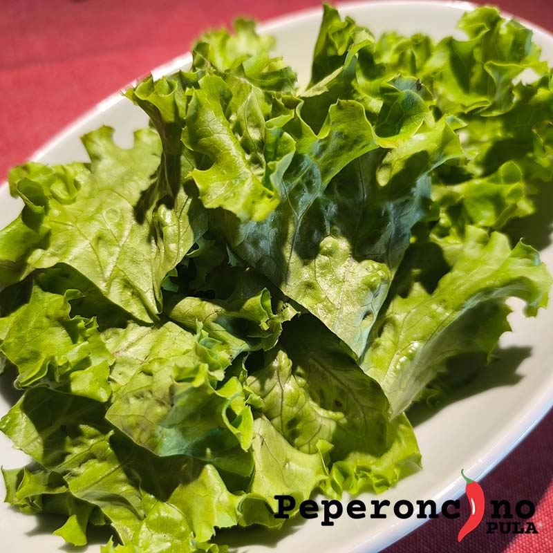 Najbolja Zelena salata u Puli