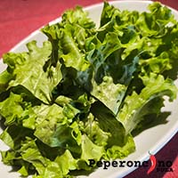 Najbolja Zelena salata u Puli